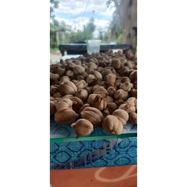 

kapulaga kering berat 1 kg