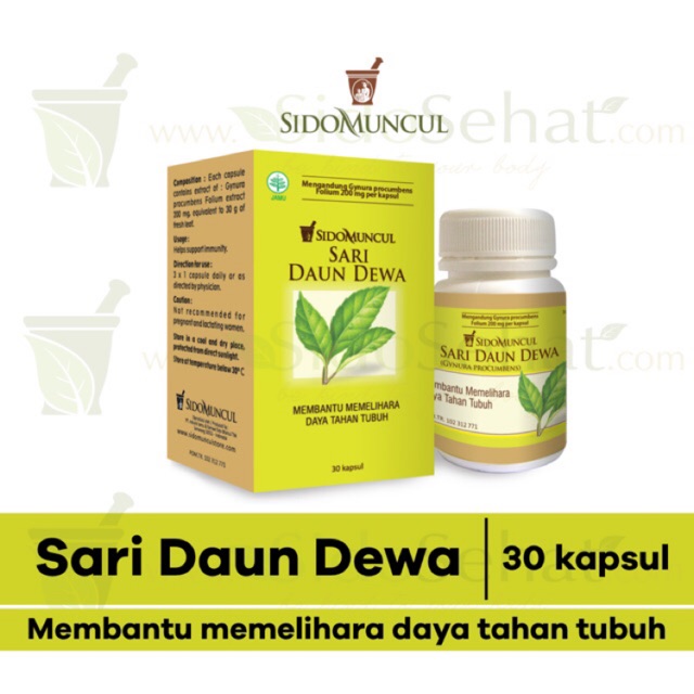 Jual Daun Dewa Sidomuncul Shopee Indonesia