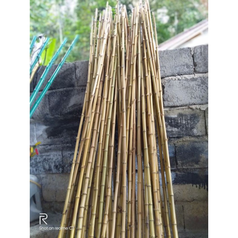 BAMBU CENDANI LURUS T150 CM OPEN BERSIH KOKOH