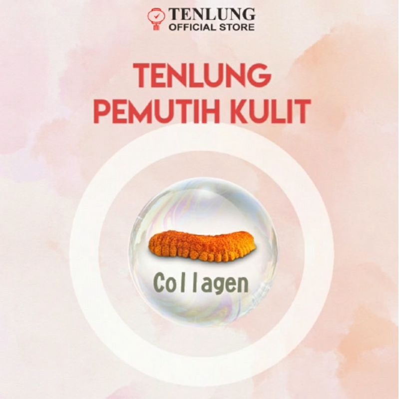 Tenlung Suplemen Herbal Pemutih Mengatasi Jerawat Bekas Luka Strechmark