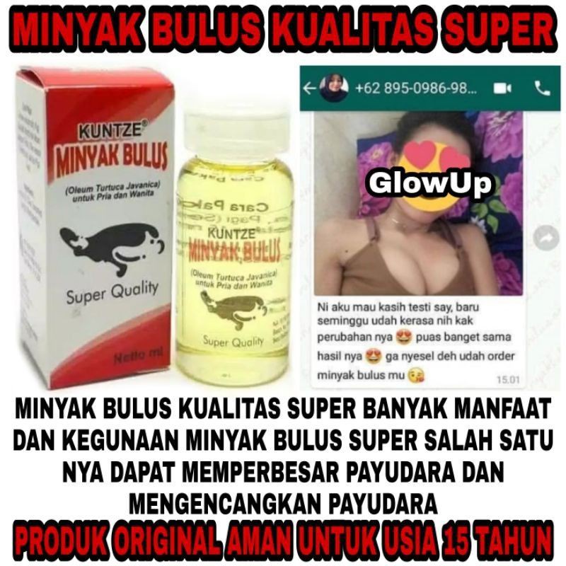 KUNTZE MINYAK BULUS PEMBESAR PAYUDARA MINYAK BULUS PUTIH HERBAL ORIGINAL 100%