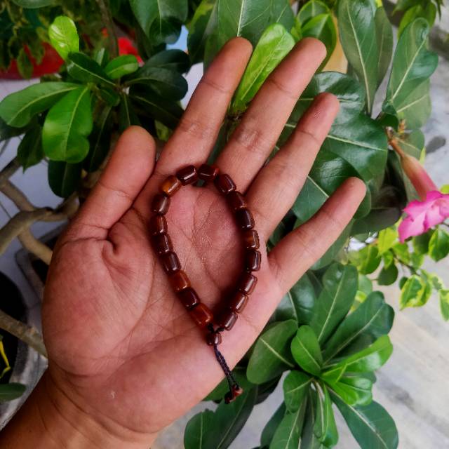 Gelang kaukah marjan sedang original / gelang kaokah koka / gelang kokka kaoka