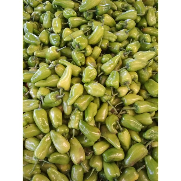 

cabe hijau besar pontianak 500 gr