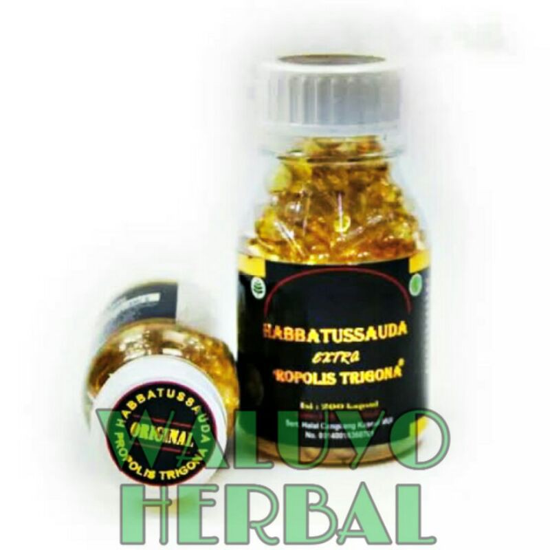 BISMILLAH HABATUSSAUDAH - EXTRA PROPOLIS TRIGONA