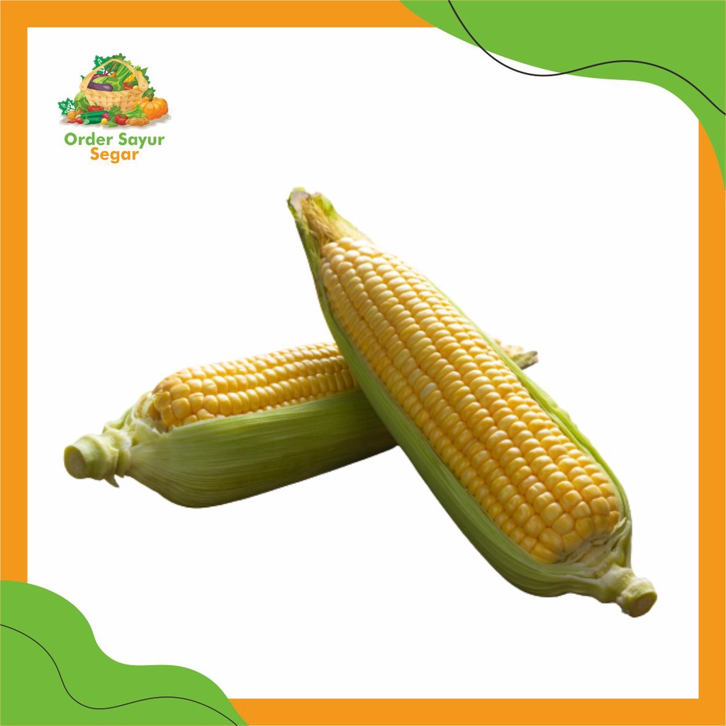 

Grosir / Eceran Jagung Manis Murah Berkualitas