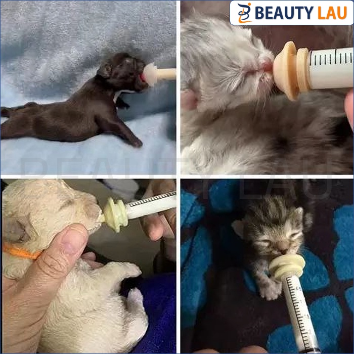 DOT KUCING BARU LAHIR PET MIRACLE NIPPLE DOT KITTEN ANAK KUCING ANJING MUSANG KELINCI