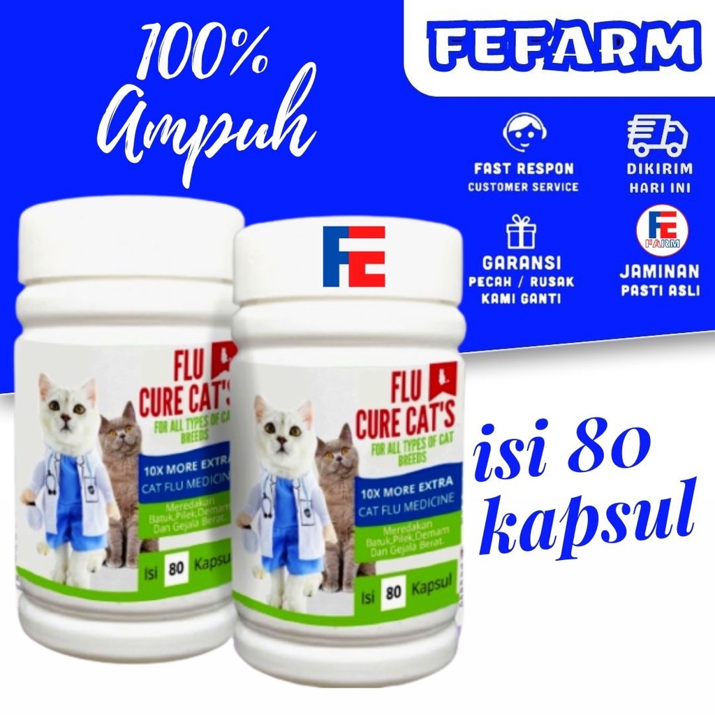 OBAT FLU KUCING / PILEK | AMAN UNTUK KUCING HAMIL DAN MENYUSUI ECERAN FEFARM