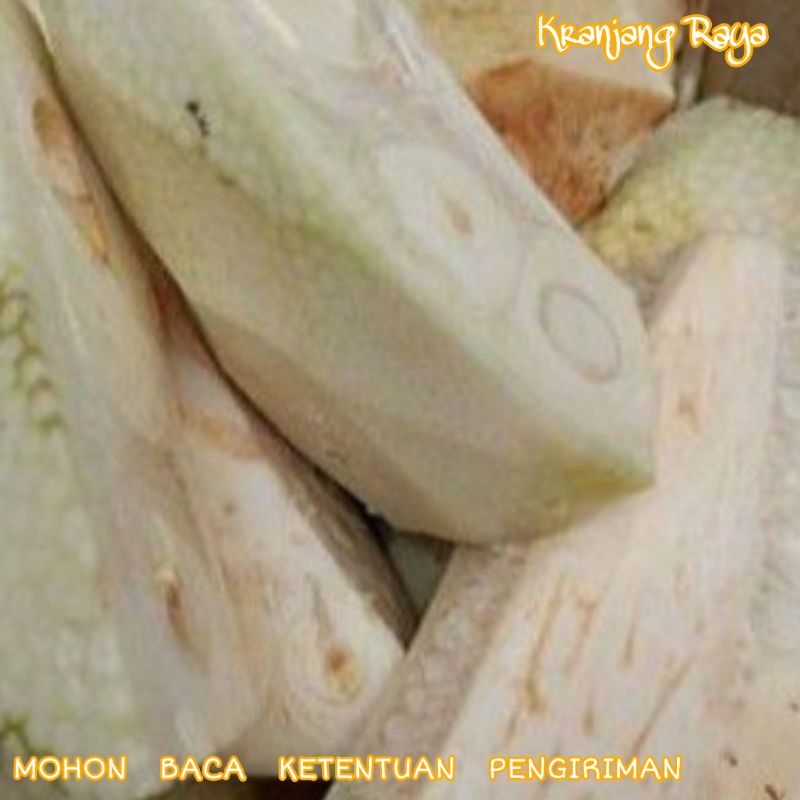 Nangka Muda