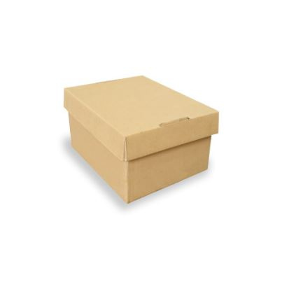 

Box 19X15X10 cm LD Kardus/Karton/Hampers/Parcel/Pizza/Nasi/Hijab/Kotak