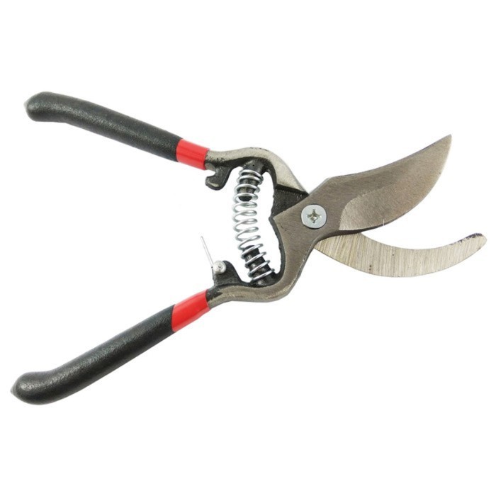 Gunting Stek Dahan Ranting Stainless Steel 8 Inci l Pruning Shear