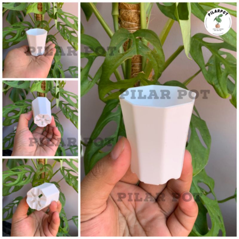 POT BUNGA TANAMAN MINI NKT PAGODA 5 PUTIH - NKT PAGODA 5 PUTIH