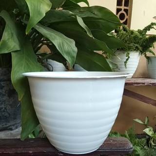Pot tawon merk madu 20 Shopee Indonesia Pot tawon merk madu 20 Shopee Indonesia