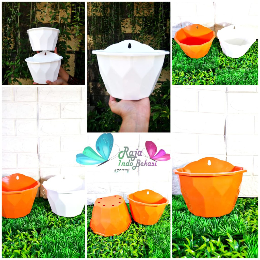 Pot Dinding Nkt Diamond 17 18 Cm Putih Orange - Pot Bunga Tanaman Anggrek Vas Bunga Plastik Dinding