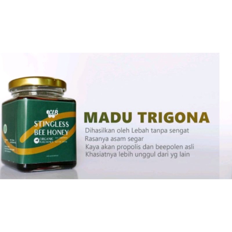 

Madu Klanceng / Trigona 246 gram - CLB