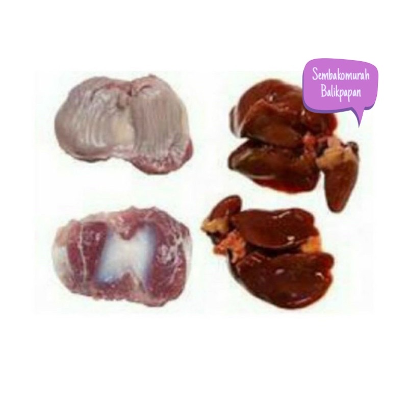

hati ampela ayam 3pcs