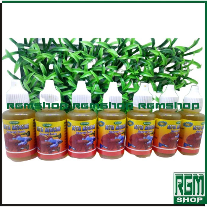 betta medicine general tonic obat ikan cupang hias murah