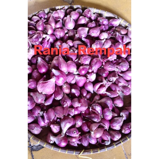 

[1KG] Bawang merah asli brebes kualitas super