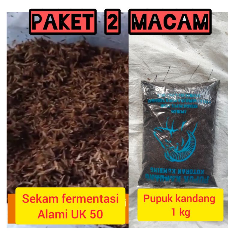 paket media tanam 2 macam ((sekam fermentasi/sekam lapuk  1 karung UK 50 + pupuk kandang 1 kg