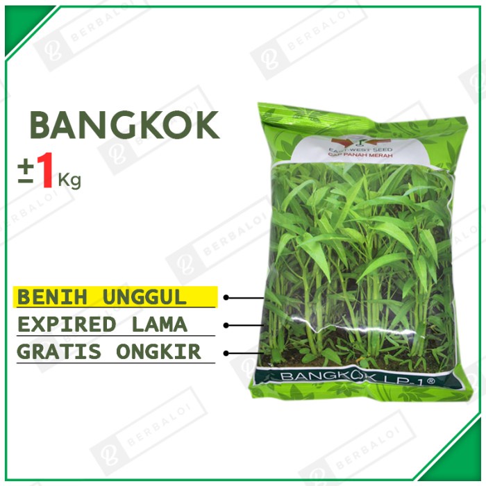 Bangkok LP-1 Benih Kangkung Cabut Unggul Bibit Kangkung Potong Hibrida