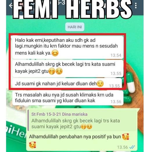 KIRIM HARI INI Femi Herbs Herbal - 100% Racikan Dokter Boyke (Membantu Mengatasi Semua Masalah Pada 