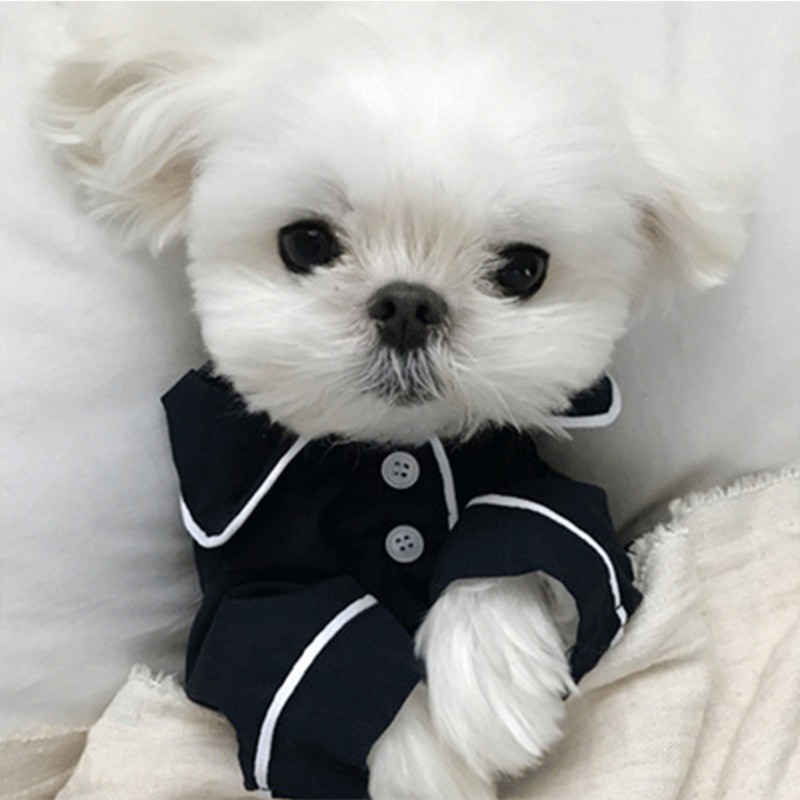 Piyama Kecil Lucu Lembut Untuk Anjing Kecil Sedang Shopee Indonesia