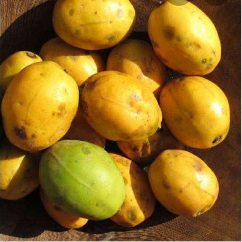 

kedondong matang 1 kg fresh