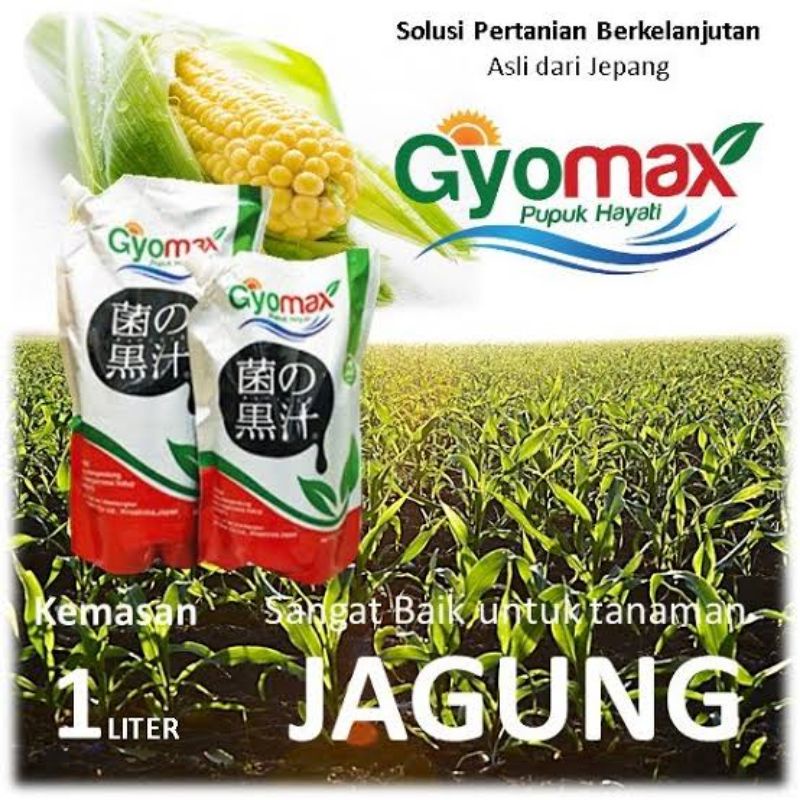 PUPUK JAGUNG - GYOMAX - 1 LITER