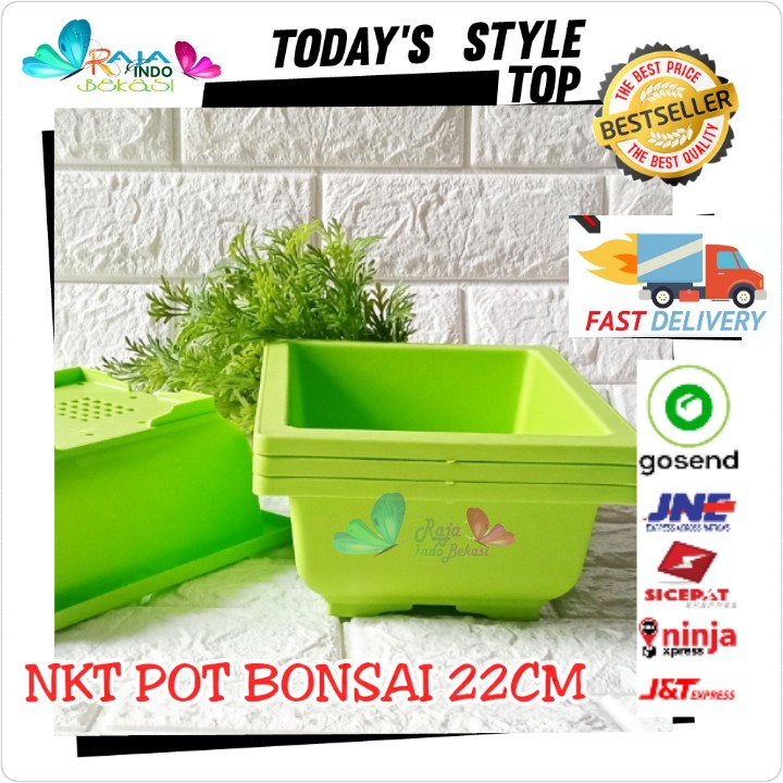 Pot Bonsai 01 Nkt 22 Cm Pot Kotak Bonsai Ceper Hitam Orange Hijau Putih - Bukan Pot Keramik Gabah