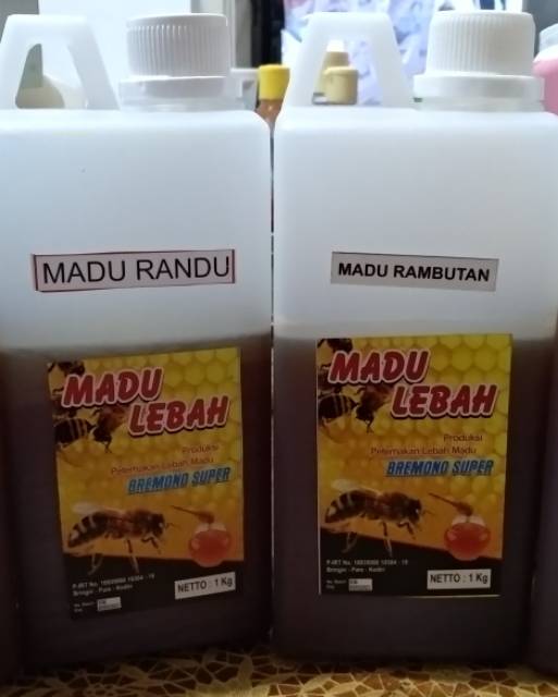 

Madu ASLI Lebah Ternak