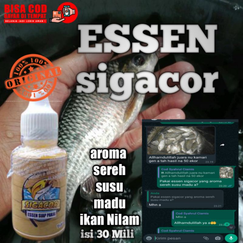 Essen ikan nilam