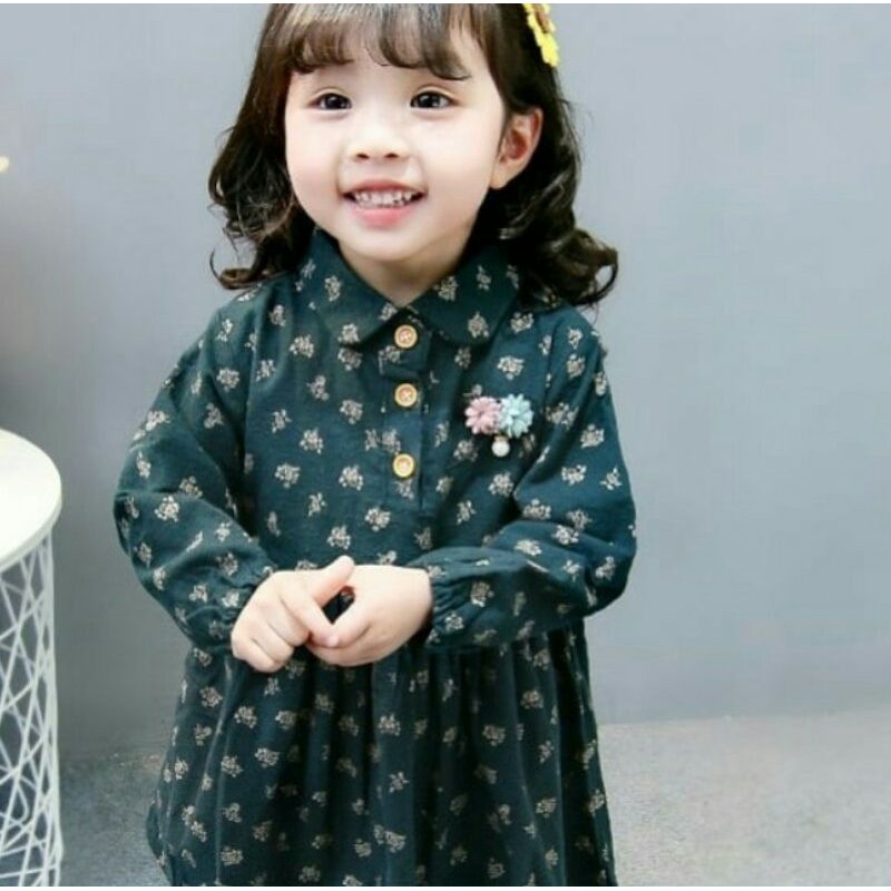 dress ameera