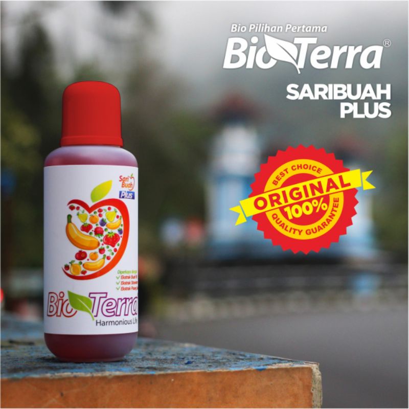 

Saribuah Plus