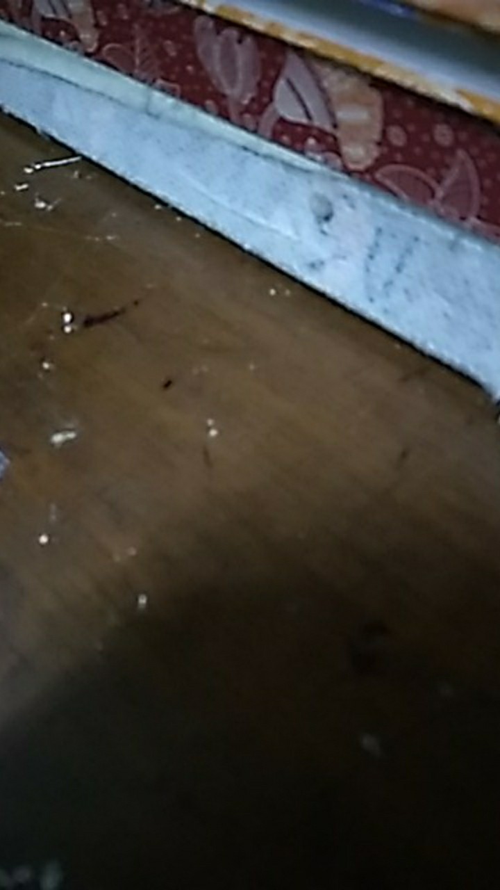 Grosir Sabun Cair Cuci Piring Lemon 600ml Perkasa