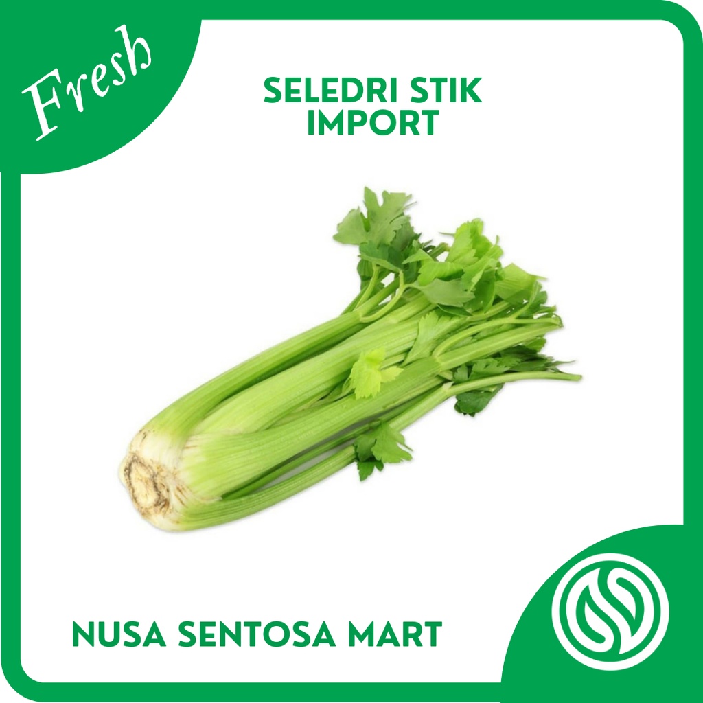 

Sayur Seledri Stik import / Seledri Stick Import Segar – 250g