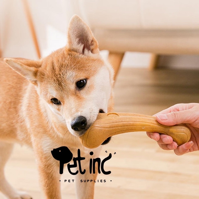 Dogobone wooden long lasting natural chewing stick