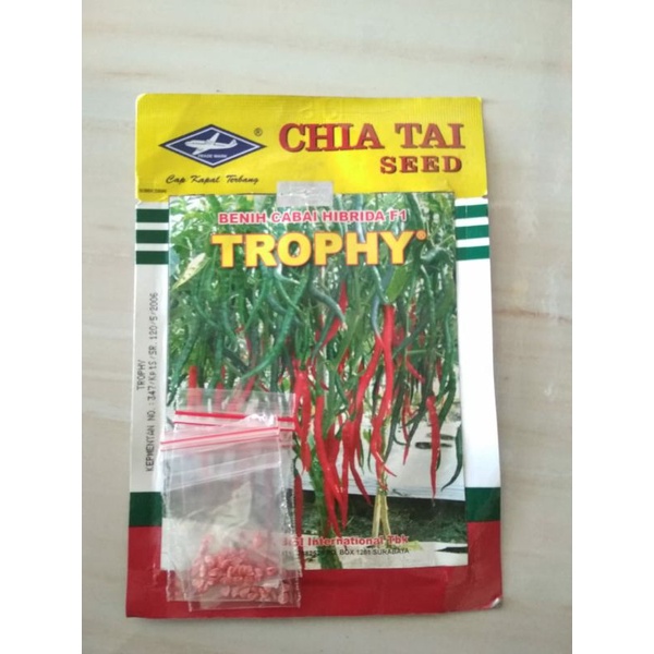 Benih Cabai Keriting Hibrida F1 Trophy 20 biji