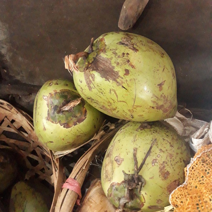 

Kelapa Muda Coconut Fresh