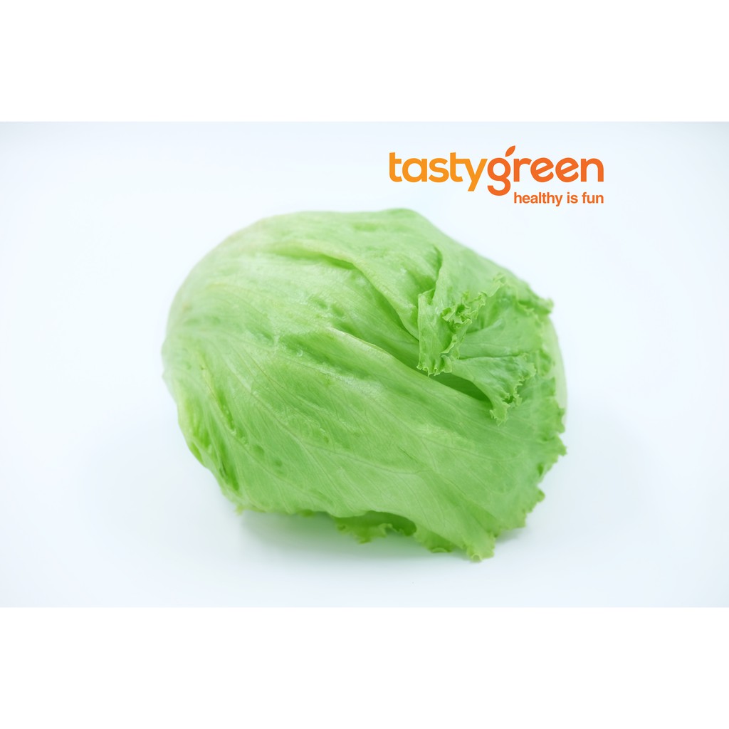 

Tasty Green Lettuce head A 1pcs