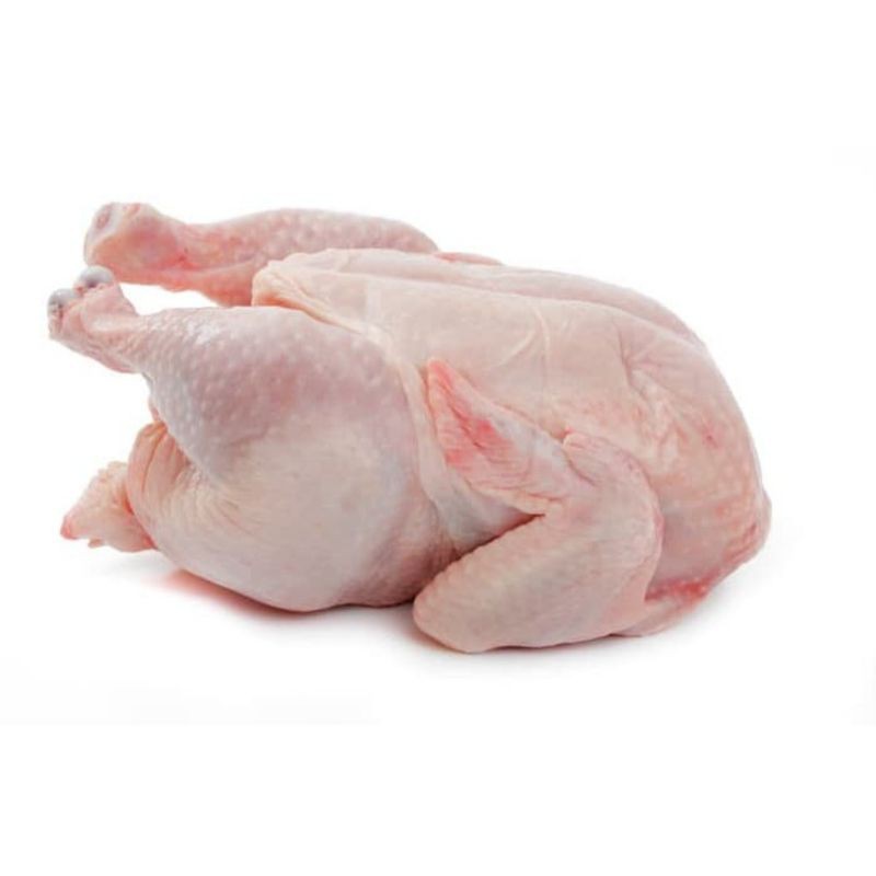 

Ayam Boiler +-1 kg (sudah dipotong)