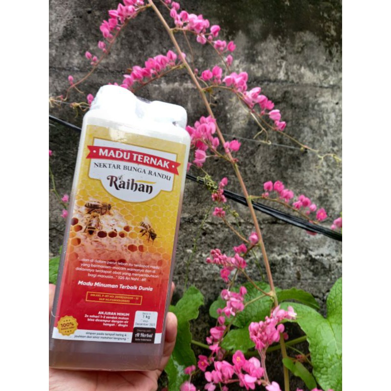 

madu randu asli murni 1 kg rasanya mantap