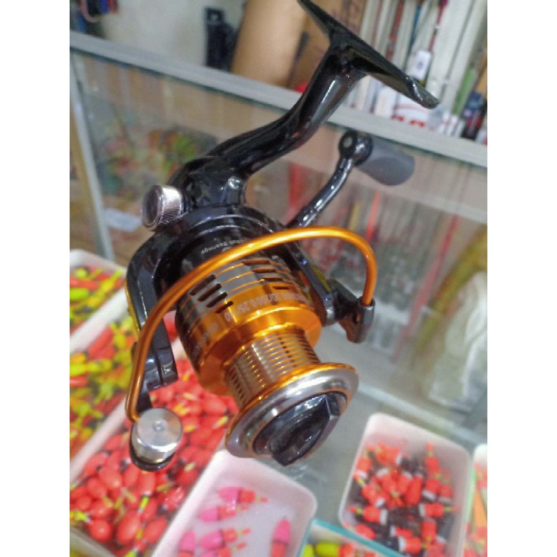 Reel Aojiro 2000 10 Bearing