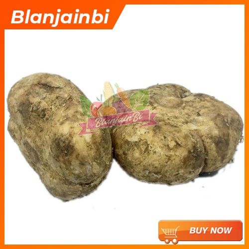 

Bengkuang Bandung Area