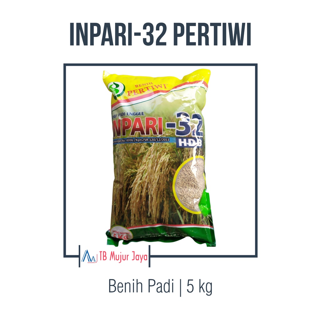 Jual Benih Padi Inpari 32 Pertiwi 5 Kg Shopee Indonesia