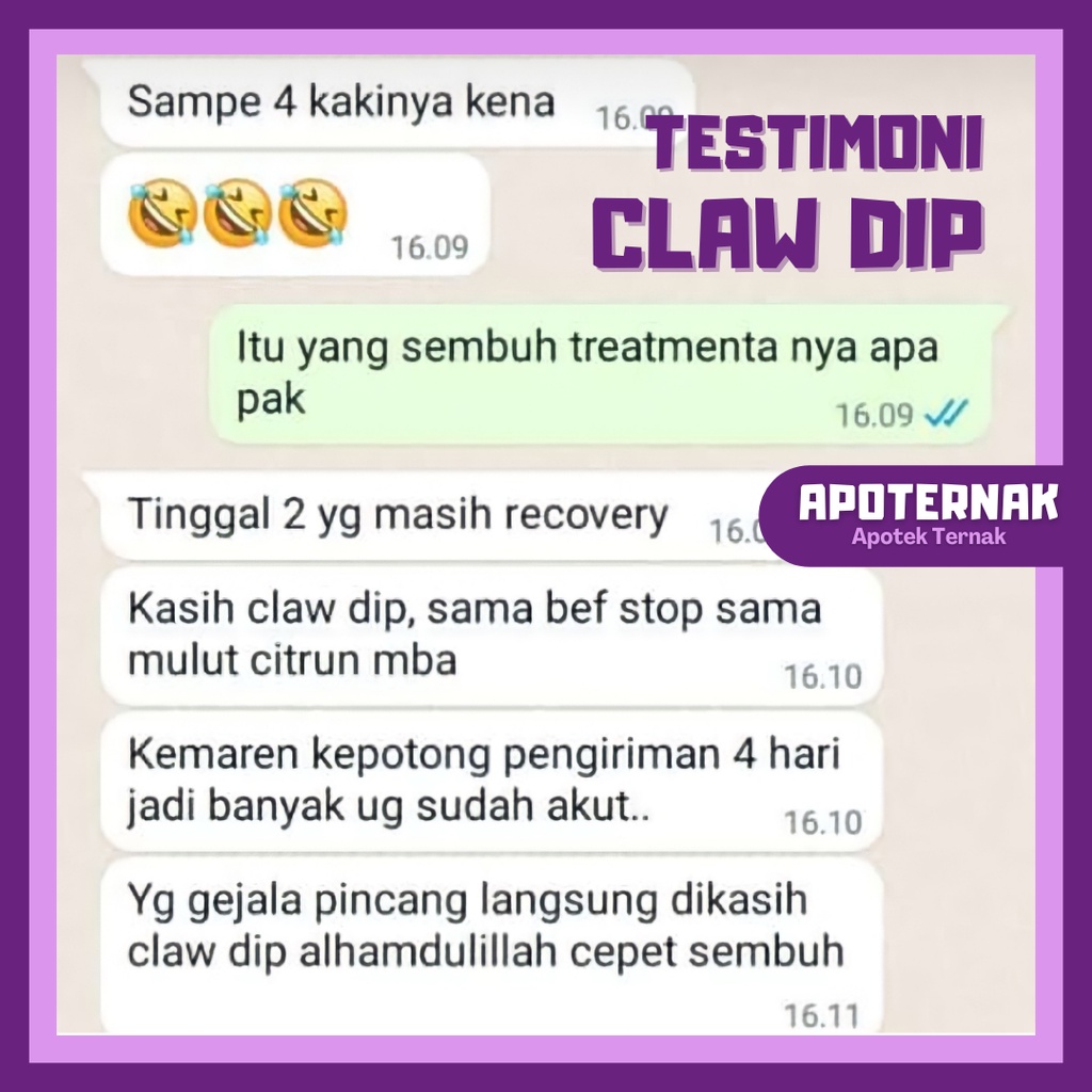 CLAW DIP 100% Ori | Obat Kuku Sapi PMK, Pincang Bernanah Infeksi Kuku dan Luka Terbuka Sapi PMK | Apoternak