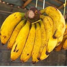 

pisang raja 1 sisir