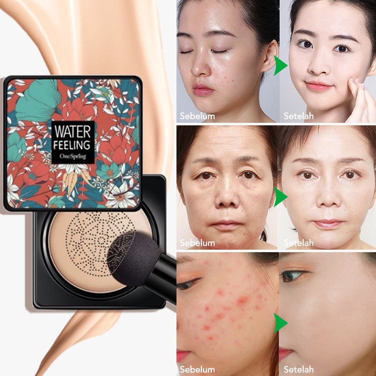 Cute Pumpkin COD Concealer Mushroom cushion BB Cream Waterproof Air Cushion CC Cream Brighten Skin 20g