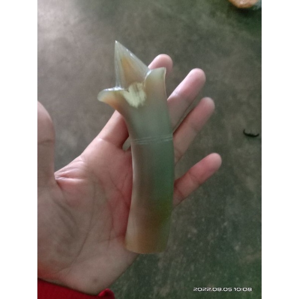 gagang tanduk untuk gocil