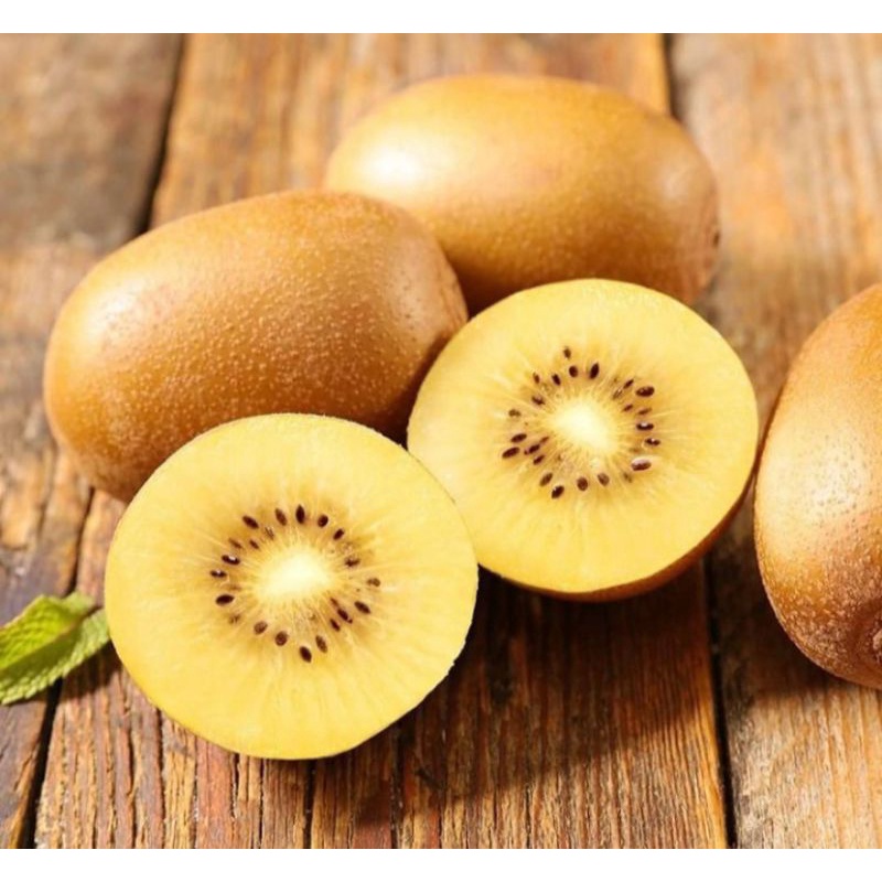 bibit kiwi emas / gold kiwi
