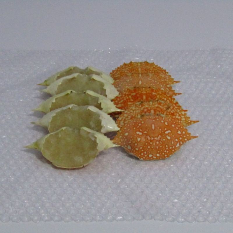 

stuffed crab rajungan