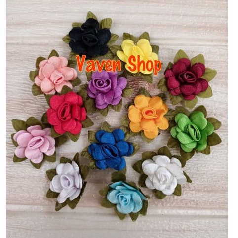 Aplikasi Bunga Leony 1 lusin